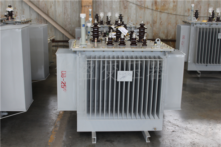 肇庆S20-800kVA/10kV/0.4kV变压器